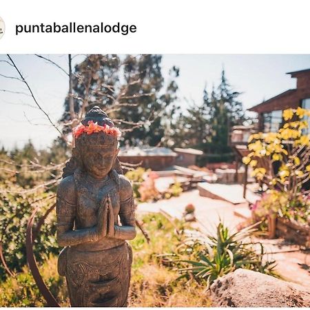 Punta Ballena Lodge Pichilemu Exterior foto